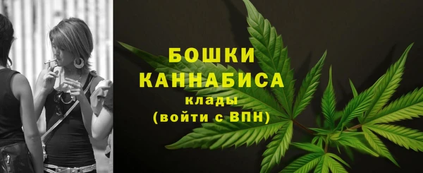 метадон Елизово