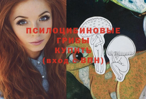 метадон Елизово
