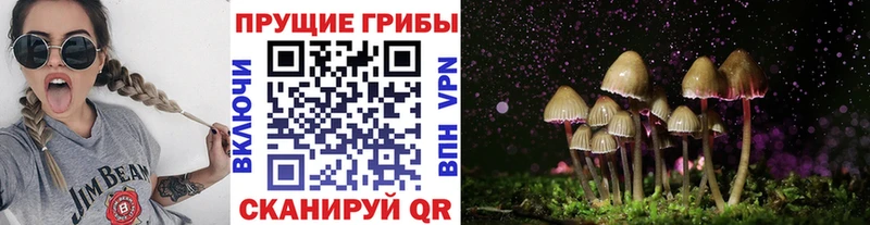 Псилоцибиновые грибы GOLDEN TEACHER  Купить  Северобайкальск 