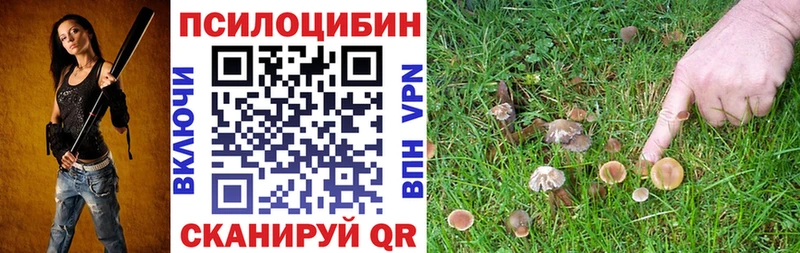 Псилоцибиновые грибы прущие грибы Северобайкальск